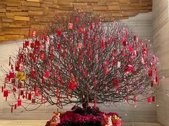 -广州柏悦酒店·悦景轩·粤菜餐厅