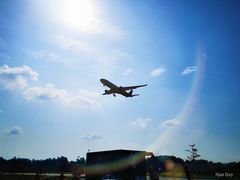 -空港花田景区