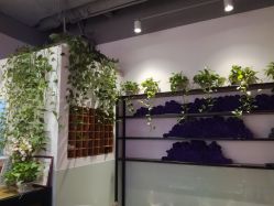 -涩谷イメジSalon烫染専門店