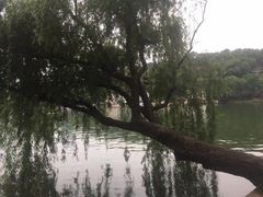 -食膳公园包子铺(烈士公园店)