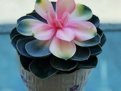 -大理无舍度假酒店