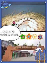 -恐龙探索乐园(磁器口店)