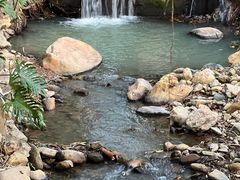 -深圳仙湖植物园