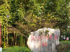 -邓小平故里