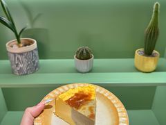 -森茶(湛江万达店)