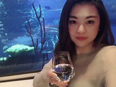 -迪拜帆船酒店海底餐厅