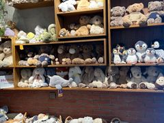 -番茄口袋(上海普陀区环球港店)