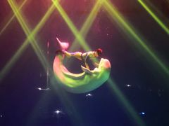 -芜湖新华联大白鲸海洋公园