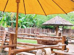 -泉州海丝野生动物世界