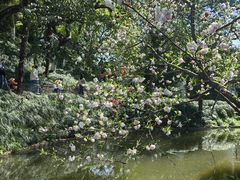 -水绘园