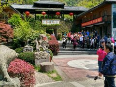 -藏龙百瀑风景区