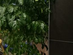-李先生牛肉面大王(昌平鼓楼店)