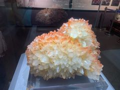 -湖南省地质博物馆