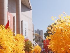 -西北轻工批发市场