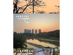 -广东花都湖国家湿地公园