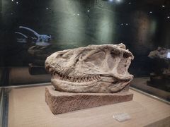 -自贡恐龙博物馆