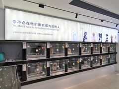 -翊宠yipet猫狗购宠庄园犬舍•猫舍