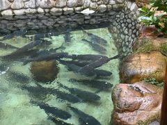 -耕渔小院·湖南鱼鲜(望城店)
