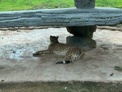 -北京野生动物园