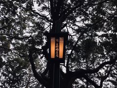 -醍醐寺