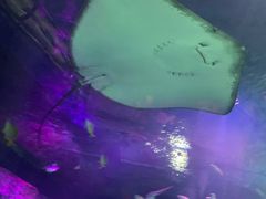 -沈阳海洋探索中心