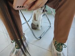 -怪兽屋·羊驼·猫咖·狗咖(俊华广场店)