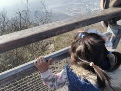 -紫金山山顶公园