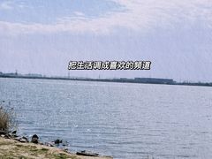 -漕湖湿地公园