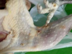 android_upload_pic-上膳源有机蔬菜(三泉路店)