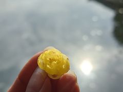 -水绘园