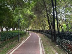 -水濂山森林公园