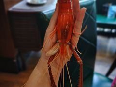 -五稻厨房粤西菜(新闻店)