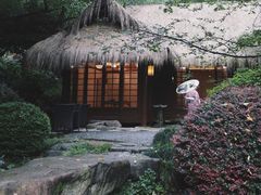 -中国茶叶博物馆(双峰馆区)