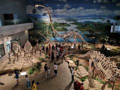 -自贡恐龙博物馆