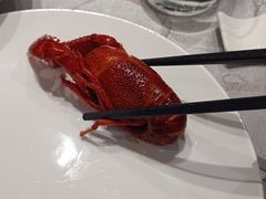 -洪福龙虾