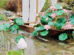 -茅山东方盐湖城景区