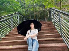 -莲花山公园