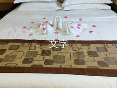 -长沙小天鹅戴斯酒店