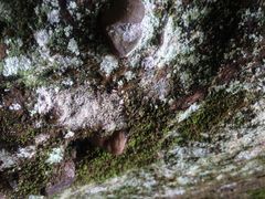 iphone_upload_pic-丹霞山风景名胜区