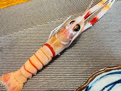 -山盛创作料理·Yamamori(珠宾店)
