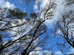 -白草畔自然风景区