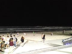 -黄金海岸