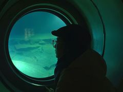 -白鹤梁水下博物馆