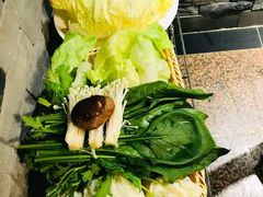 -友乐居羊蝎子(西直门店)
