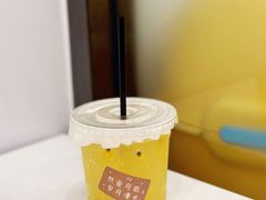 -有喵·猫咖·狗咖·30几只猫10只小狗(岗厦店)