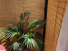 -慢丽江·庭院云南火锅(付家庄店)