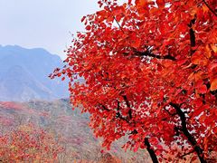 -周口店坡峰岭风景区