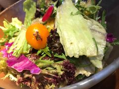 大拌菜-锦尚阁烤鱼(望京新荟城店)