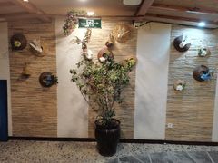 -盤古Spa泰式古法抓龙筋(鲁迅路店)