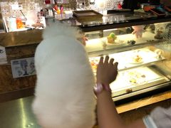 -more than meow吴止猫主题餐厅(承德 中船汇店)